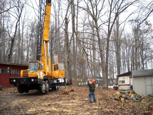 Executive Tree Service