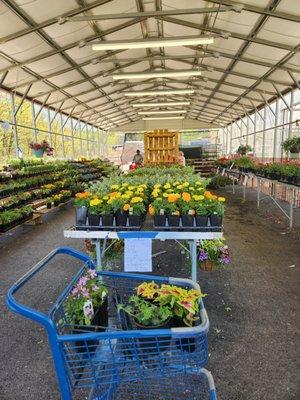 380 Auction Discount Warehouse