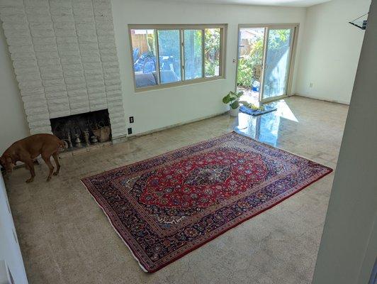 Apex Polished Concrete