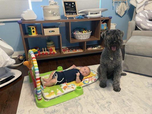 Bark Avenue Playcare