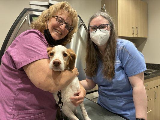 Middle Road Animal Clinic