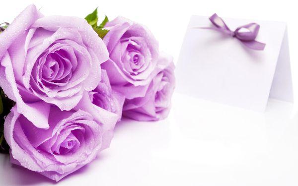 Psychic Medium Jodi Lynn & The Mystics Touch Gift Shop