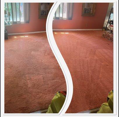 Top Rated Carpet & Upholstery Cleaning