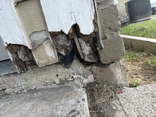 Falling apart from the inside and out!!!