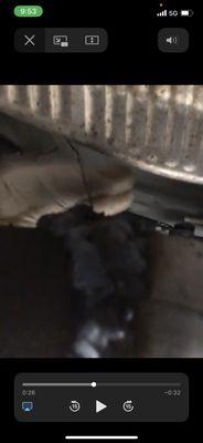 Meineke Car Care Center