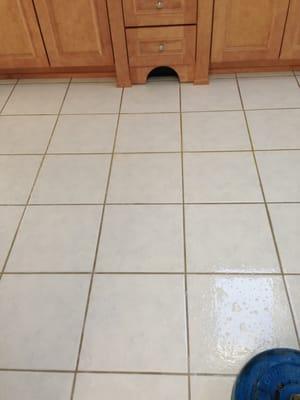 Tile & Grout