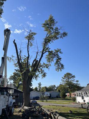 Countryside Tree Service