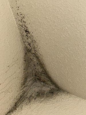 Sierra Madre Apartments