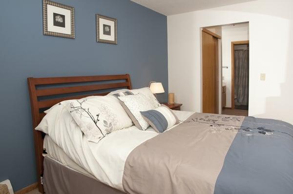 Spacious Bedroom Connected to Closet