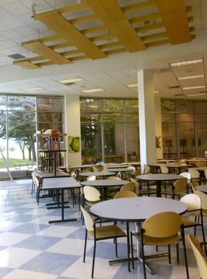 Llumar N1020 Bronze solves glare problem in cafeteria. Stops 77% heat, 81% glare, and 99% UV