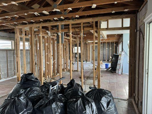 Lion Junk Removal & Demolition