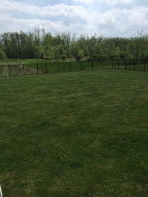 Peerless Landscape Maintenance