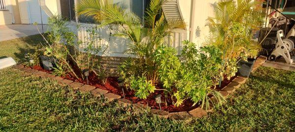 316 Landscaping Design