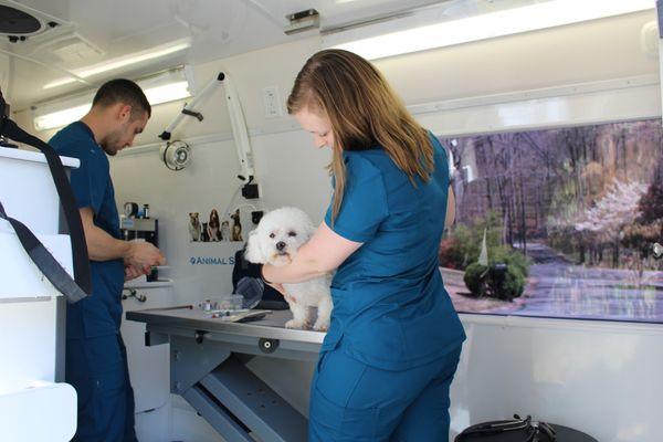 Lucy's Veterinary Care