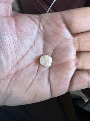 Charles Rigoglioso DMD