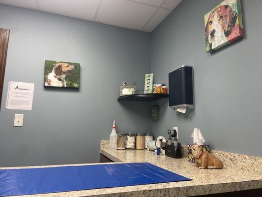 Nunnery Veterinary Hospital