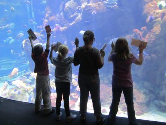 Holli's Family Child Care