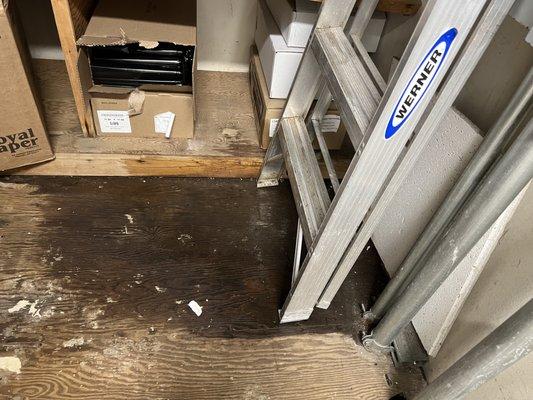 Roque & Mark Company