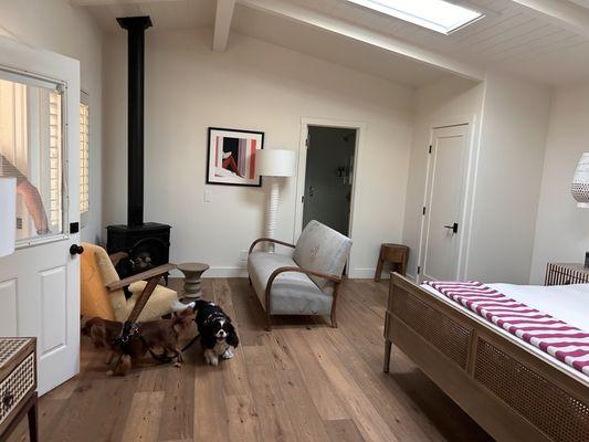 Cute dog friendly hotel! Garden suite