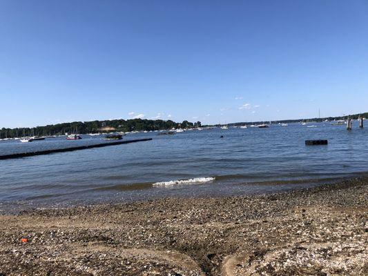 Frank M Flower & Sons