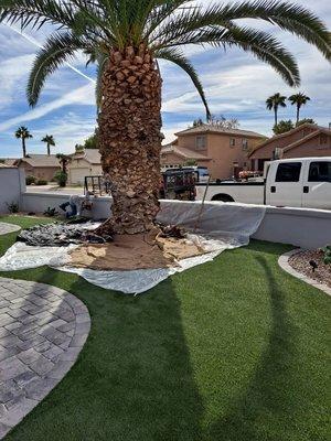 Will Ocampo Landscaping Services