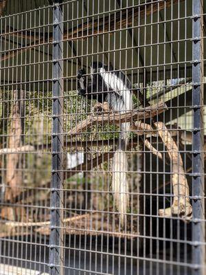 Baton Rouge Zoo