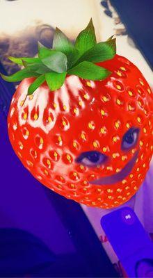 Bonsall Union School District