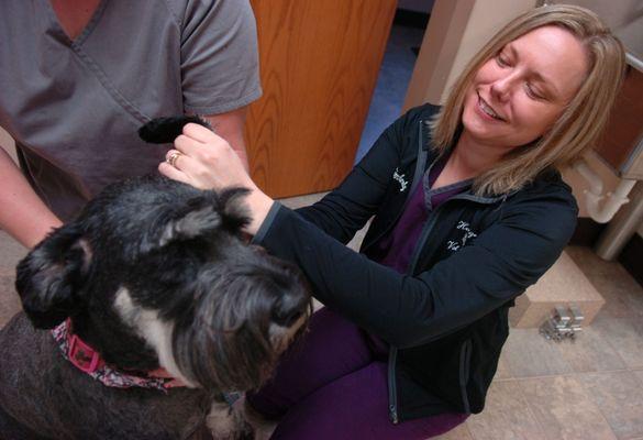 Bluffton Veterinary Hospital & Pet Care Center