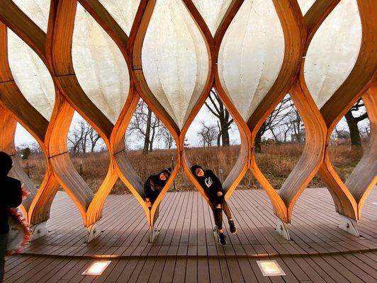 Nature Boardwalk at Lincoln Park Zoo
