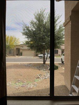 Finally, a clear view without dirt and dog kisses!