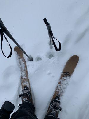 Rental backcountry skis