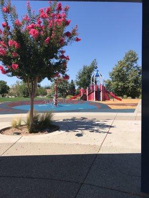 Aldo Pineschi Sr Park