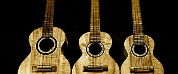 Iseman Guitars and Instruments