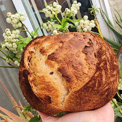 Heritage Rise Sourdough