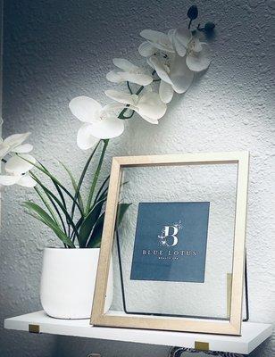 Blue Lotus Beauty Spa