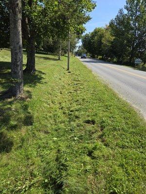 Deslandes Property Maintenance