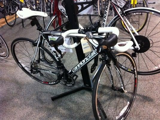 Bert's Bikes & Fitness