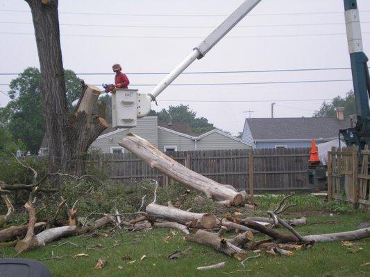 TLC Tree Removal Inc