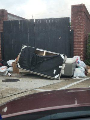 Ok, the couch is one thing. Underneath and all around is trash that will attract vermin. I have seen a possum at night.