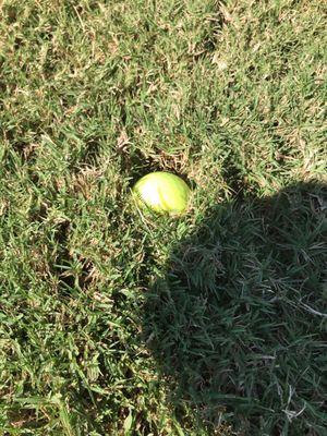 Warriors Path Golf Course