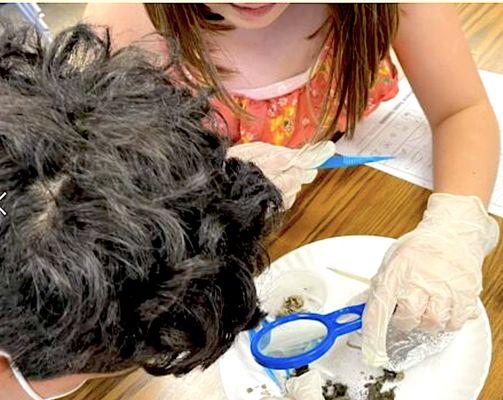 Highland Free School