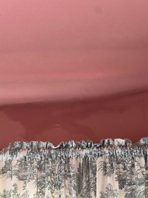 Mold and dampness in ceiling