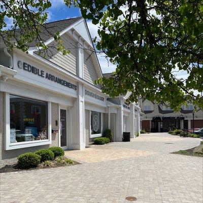 Doughology - Babylon