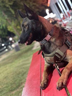 Trinity k9 Training