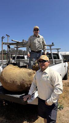 K&G Landscape Gardening