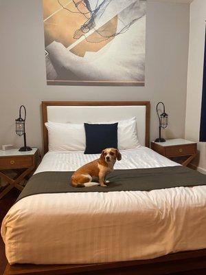 Commodore Hotel Astoria