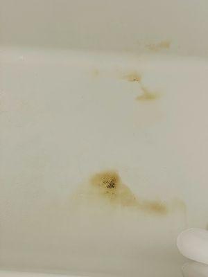 Stayable St. Augustine