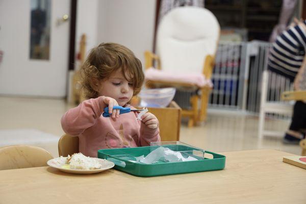 Fox Valley Montessori School