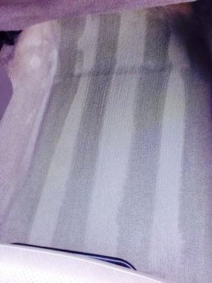 Onsite Mobile Auto Detailing