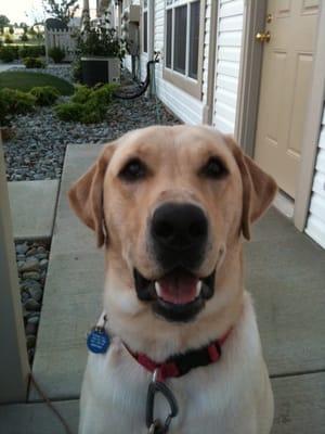 Broadview Acres Country Canine